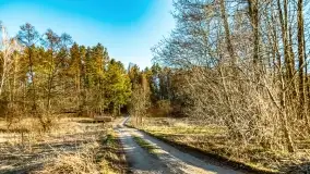 Zachód słońca nad jeziorem Dejguny, marzec 2022 r. - zdjęcie 19