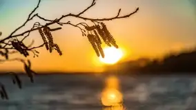 Zachód słońca nad jeziorem Dejguny, marzec 2022 r. - zdjęcie 41