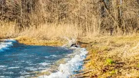 Zachód słońca nad jeziorem Dargin, marzec 2022 r. - zdjęcie 17