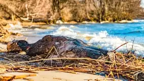 Zachód słońca nad jeziorem Dargin, marzec 2022 r. - zdjęcie 49