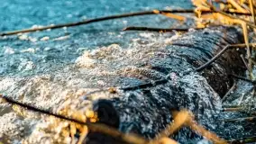 Zachód słońca nad jeziorem Dargin, marzec 2022 r. - zdjęcie 47