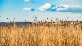 Zachód słońca nad jeziorem Bocznym, Leśna Keja - zdjęcie 4