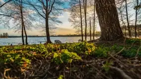 Zachód słońca nad jeziorem Bocznym, Leśna Keja - zdjęcie 32
