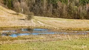 Grodzisko Galindów na Zamkowej Górze - zdjęcie 12