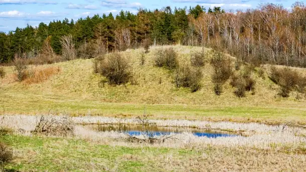 Grodzisko Galindów na Zamkowej Górze - zdjęcie 10