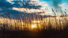 Zachód słońca nad jeziorem Stręgiel - zdjęcie 2