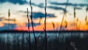 Zachód słońca nad jeziorem Stręgiel - zdjęcie 34