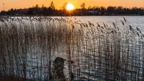 Zachód słońca nad jeziorem Boczne, widoczny z Rydzewa - zdjęcie 21