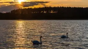 Zachód słońca nad jeziorem Jagodne - zdjęcie 60