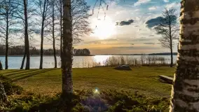 Ognisty Ptak przed kwietniowym zachodem słońca - zdjęcie 38