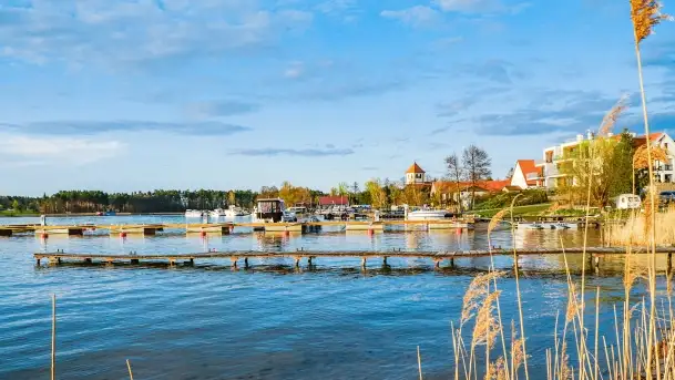 Rozpoczęcie sezonu w Tle Dla Mew, majówka 2022 - zdjęcie 2