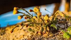 Rozpoczęcie sezonu w Tle Dla Mew, majówka 2022 - zdjęcie 49