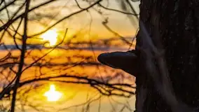 Wieczór i zachód słońca nad Darginem, kwiecień 2022 - zdjęcie 45