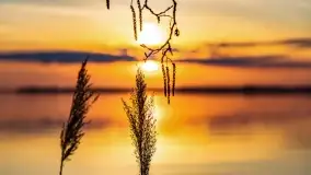 Wieczór i zachód słońca nad Darginem, kwiecień 2022 - zdjęcie 9