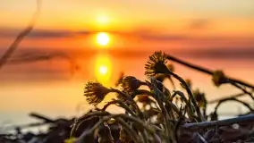 Wieczór i zachód słońca nad Darginem, kwiecień 2022 - zdjęcie 26