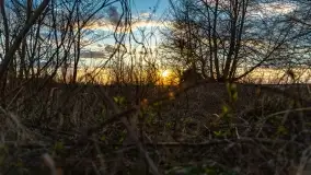 Zachód słońca nad jeziorem Dobskim, kwiecień 2022 - zdjęcie 33