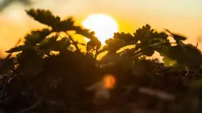 Zachód słońca nad jeziorem Dobskim, kwiecień 2022 - zdjęcie 38