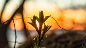 Zachód słońca nad jeziorem Dobskim, kwiecień 2022 - zdjęcie 43