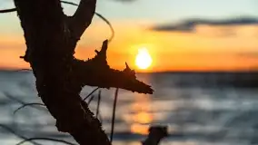 Zachód słońca nad jeziorem Dobskim, kwiecień 2022 - zdjęcie 45