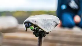 Zabytkowe rowery w Mikołajkach - zdjęcie 6