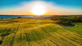 Złote, rzepakowe mazurskie pola z jeziorami w tle - zdjęcie 73