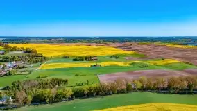 Złote, rzepakowe mazurskie pola z jeziorami w tle - zdjęcie 27