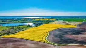 Złote, rzepakowe mazurskie pola z jeziorami w tle - zdjęcie 74