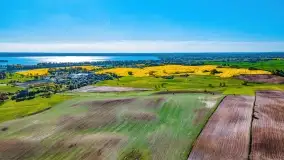 Złote, rzepakowe mazurskie pola z jeziorami w tle - zdjęcie 81