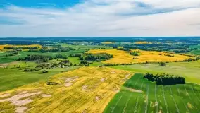 Złote, rzepakowe mazurskie pola z jeziorami w tle - zdjęcie 65