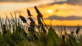 Zachód słońca nad jeziorem Dargin, maj 2022 r. - zdjęcie 33