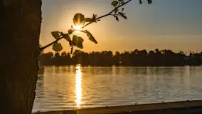 Zachód słońca nad jeziorem Bocznym, Marina Lester Club - zdjęcie 26