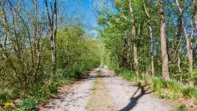 Wiosenne widoki przy jeziorach Ublik - zdjęcie 7