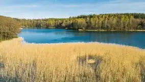 Wiosenne widoki przy jeziorach Ublik - zdjęcie 41