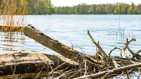 Wiosenne widoki przy jeziorach Ublik - zdjęcie 46