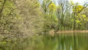 Wiosenne widoki przy jeziorach Ublik - zdjęcie 64