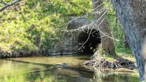 Wiosenne widoki przy jeziorach Ublik - zdjęcie 71