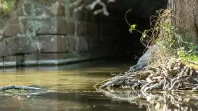 Wiosenne widoki przy jeziorach Ublik - zdjęcie 76