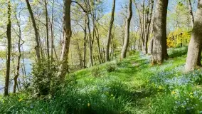 Wiosenne widoki przy jeziorach Ublik - zdjęcie 73