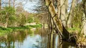 Wiosenne widoki przy jeziorach Ublik - zdjęcie 127