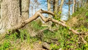 Wiosenne widoki przy jeziorach Ublik - zdjęcie 96