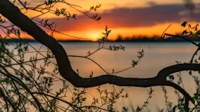 Zachód słońca nad jeziorem Niegocin, maj 2022 r. - zdjęcie 40