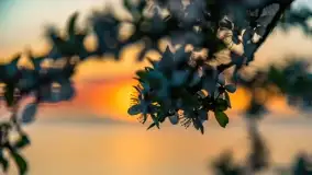 Zachód słońca nad jeziorem Niegocin, maj 2022 r. - zdjęcie 33