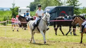 Sulimiada 2022, zobacz naszą fotorelację - zdjęcie 30