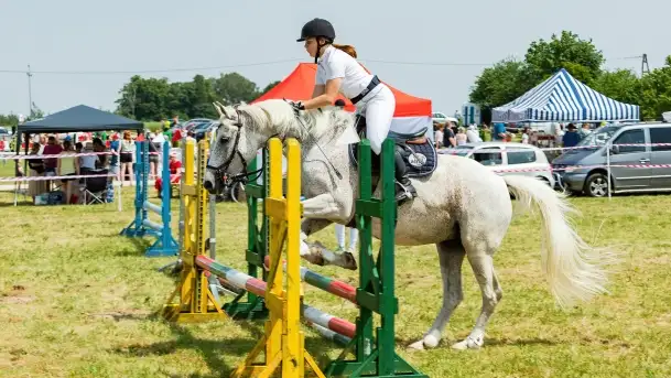 Sulimiada 2022, zobacz naszą fotorelację - zdjęcie 1