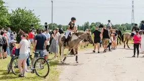 Sulimiada 2022, zobacz naszą fotorelację - zdjęcie 40