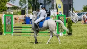 Sulimiada 2022, zobacz naszą fotorelację - zdjęcie 73