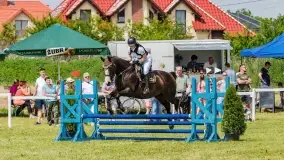 Sulimiada 2022, zobacz naszą fotorelację - zdjęcie 37