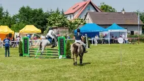 Sulimiada 2022, zobacz naszą fotorelację - zdjęcie 89