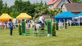 Sulimiada 2022, zobacz naszą fotorelację - zdjęcie 81