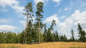 Fotorelacja - Rowerem po zagubionych wioskach Puszczy Piskiej - zdjęcie 70